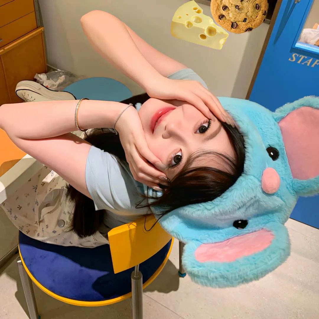 单身骑士